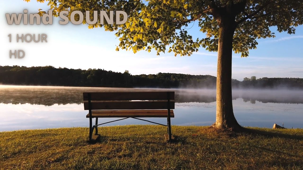 Relaxing sounds | wind sound | 1 hour - YouTube