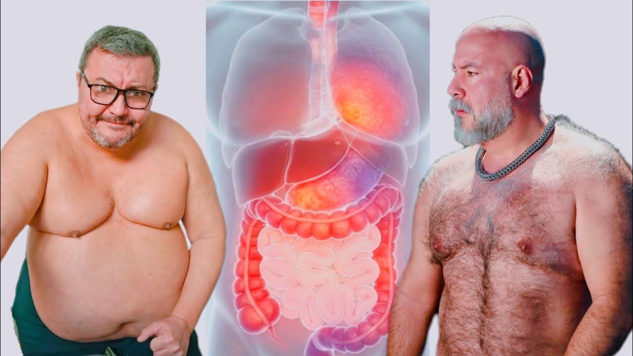 Медведи 🐻 || Здоровье кишечника || Папина лихорадка