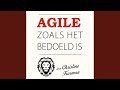 Hoofdstuk 16.3 - Agile zoals het bedoeld is