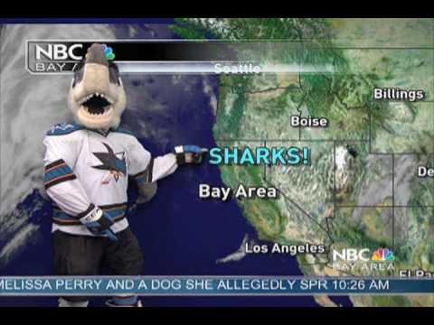 San Jose Sharks on X: Nothing better than #MarioMonday and #SharkWeek 😁   / X