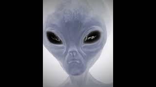 Mavi Kanlı Bir Medeniyetin İzleri#mitoloji #antikdünya #antiktarih