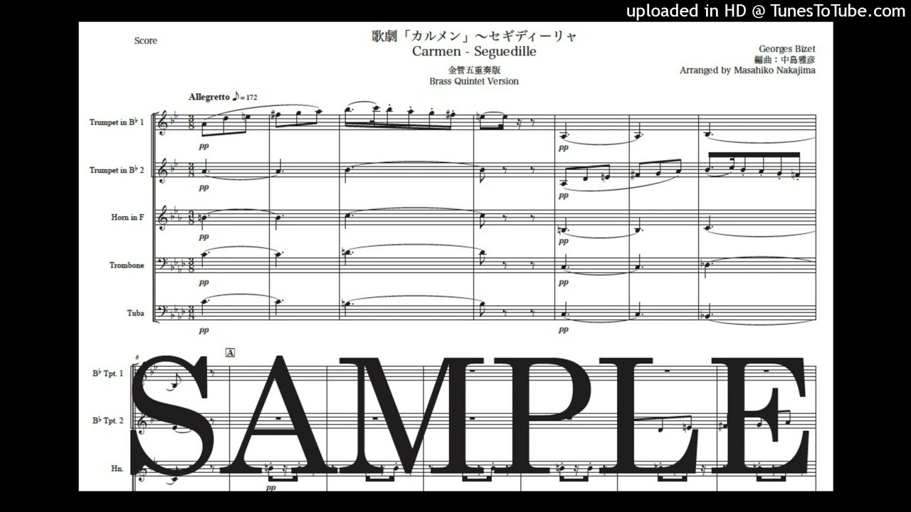 ビゼー: カルメン 木管十重奏 楽譜とCD ビゼー: カルメン 木管十