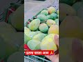 कुवैत में आम का रेट | #kuwait #aam #shorts #youtubeshorts #video