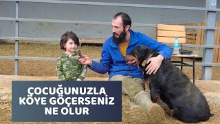 ÇOCUĞUNUZLA Köye Göçerseniz Ne Mi Olur  / Köye Göç Macerası