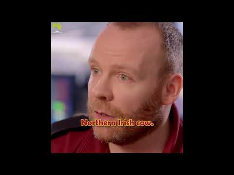 Soft Border Patrol series 1. Niall Sweeney explains SBP's issues with border fauna.