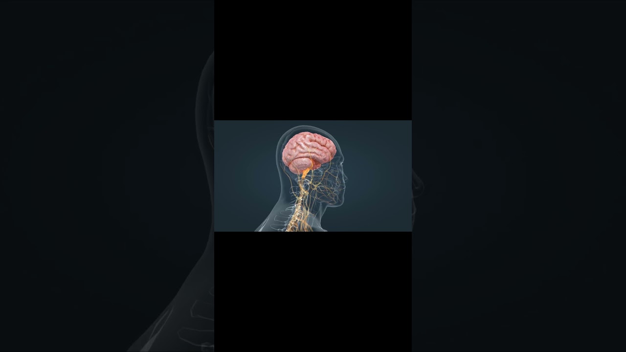 Глаукома влияет не только на зрение, но и на умственные способности.