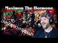 Maximum the Hormone II - Let's Talk About Menkata Cottelee reaction | Metal Musician Reacts