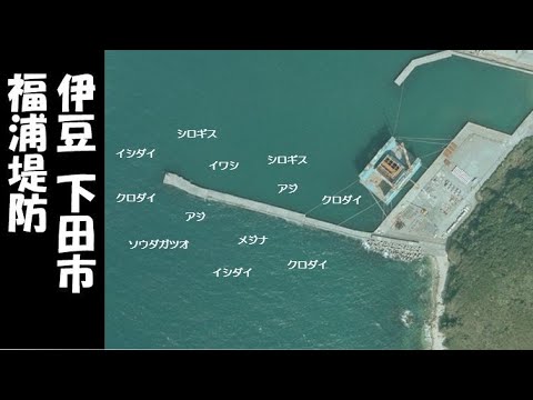 福浦堤防 下田浄化センターの近く の海釣りガイド 伊豆 下田市 Youtube