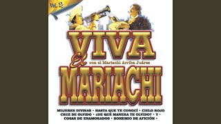 Vignette de la vidéo "Mariachi Arriba Juárez - Cruz De Olvido"