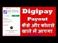 Digipay Payout & commission payment
