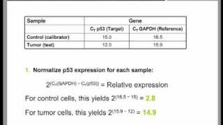 Real Time QPCR Data Analysis Tutorial (part 2)