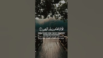سورة التكاثر - ياسر الدوسري🤍 #ياسر_الدوسري #quran #قران_كريم #الحمدلله #اسلام