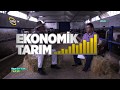 Yemlerin Besin Değeri - Ekonomik Tarım / Çiftçi TV