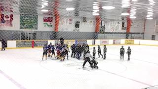 Parkdale Lawfield Bantam Hockey Brawl