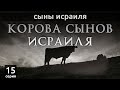 Корова сынов Исраиля | Сыны Исраиля - шейх Набиль аль-Авады, серия 15