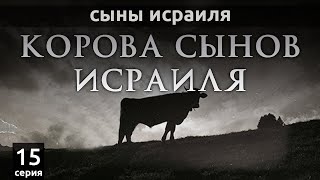 Корова сынов Исраиля | Сыны Исраиля - шейх Набиль аль-Авады, серия 15