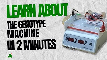 Instrumentation - All you need to know about the genotype machine in 2 minutes