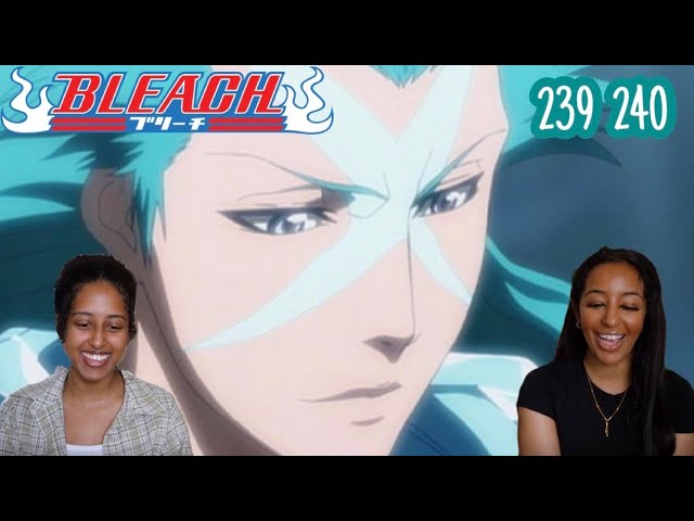 Bleach 239 – The Awakening Hyōrinmaru! Hitsugaya's Fierce Fight