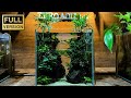 そびえる溶岩石と陰性水草で作る30cm水槽の全工程とその後【アクアリウム】
