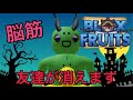 【blox fruits】やり続けてたら確実に友達が居なくなるとんでない脳筋戦法!大仏グール!(ブロックスフルーツ)(roblox ロブロックス)