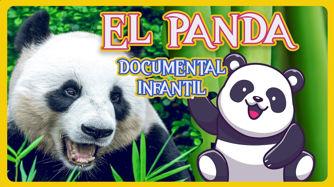 EL OSO PANDA 🐼 ❤️ 🎋, Videos educativos para niños