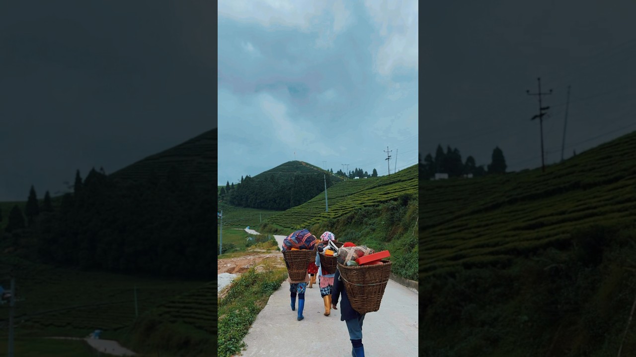 #lamjungedadaima #nepalisong  #nepalimusic  #hawasarara  #minivlog  #kanyadaanmonikasharma