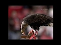 "Eagle fly" live at Benfica Stadium