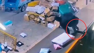 CONVEYOR BELT ACCIDENT 😨