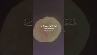 Mu'minûn suresi 12-15.ayetler