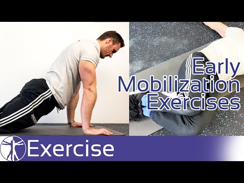 Early Lumbar Spine Mobilization Exercises for Low Back Pain