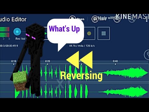 reversing-the-enderman-sound-(language-revealed!?)