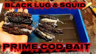 BLACK LUG & SQUID WRAP'S  prepared at HOME