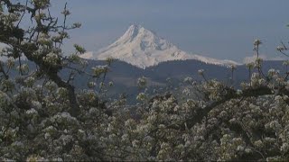 Grant's Getaways: Carpet of spring snow