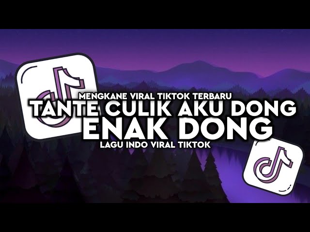 DJ TANTE CULIK AKU DONG X ENAK DONG SLOWED REVERB🎶 class=