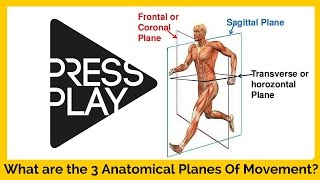 What are the 3 Anatomical Planes of Movement?