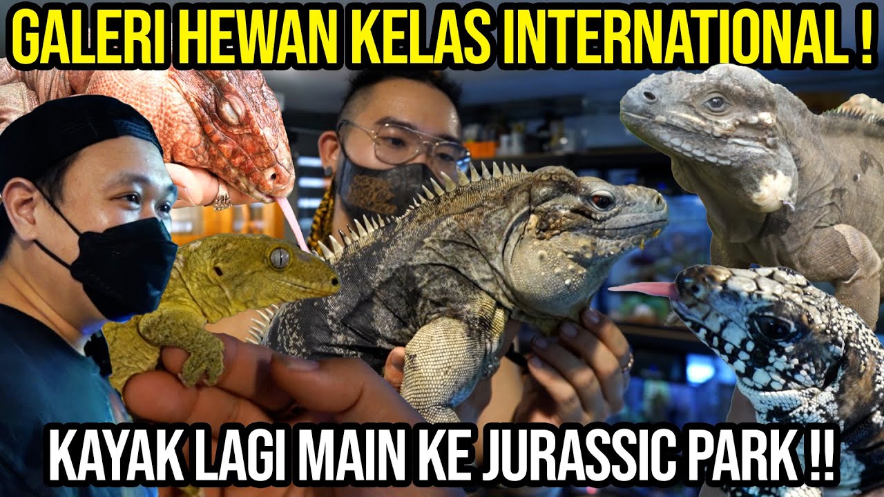 NGERI! JURASSIC PARK INDOOR! GREBEK GALERI HEWAN ISINYA MILYARAN !