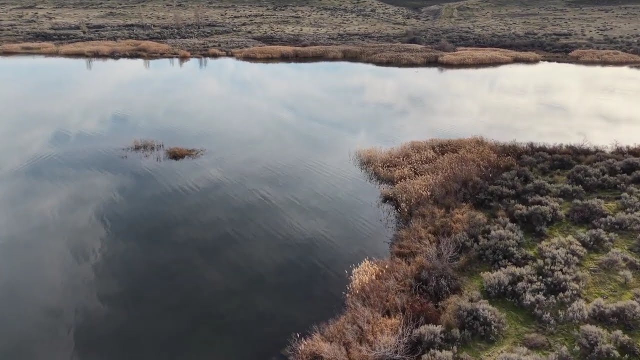 Mini 5 Pro - Quesna County Park - Long Flight Over Small Islands in the Columbia River