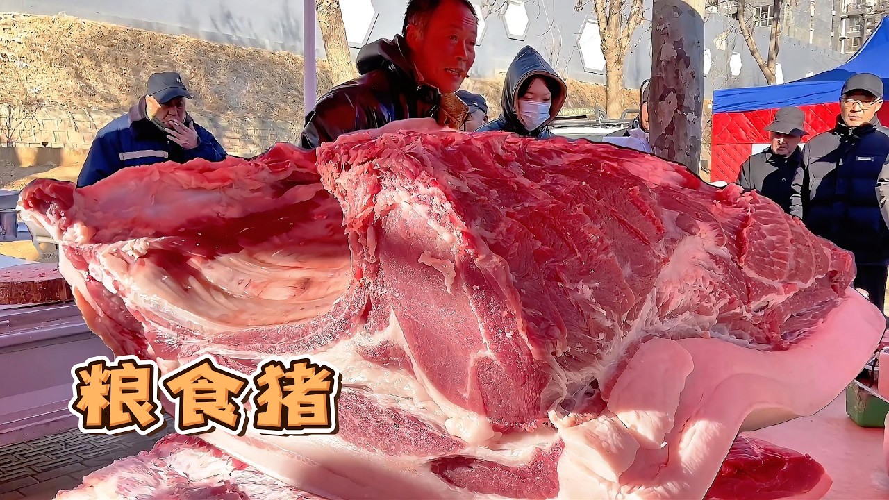 農村老品種大肥豬騰騰冒熱氣都燙手，肥肉膘子比巴掌厚，華哥剛出攤就賣出去半頭豬，震驚了【玖叔v​​log】#pork #猪肉 #玖叔vlog#华哥猪肉#玖叔猪肉#豬肉