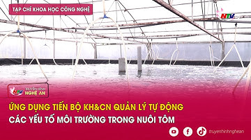 Ứng dụng tiến bộ KH&CN quản lý tự động các yếu tố môi trường trong nuôi tôm | Khoa học công nghệ