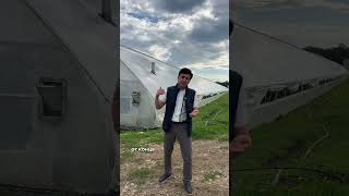 Минусы Туннельных Теплиц