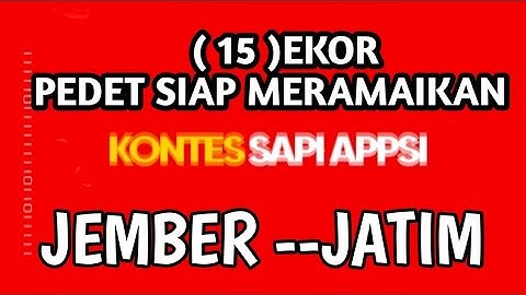 15 Ekor pedet‼️ siap meramaikan kontes APPSI jember