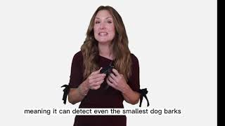 Smart Anti-Bark Collar Secrets Revealed! Dog collar review 2025