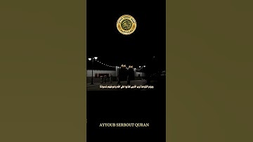 سورة الزمر الآية 59-62 تلاوة الشيخ عبد البديع غيلان #اكسبلور