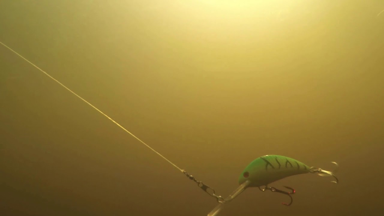 Coots Lures Rattlin' Wasp Demo Video 