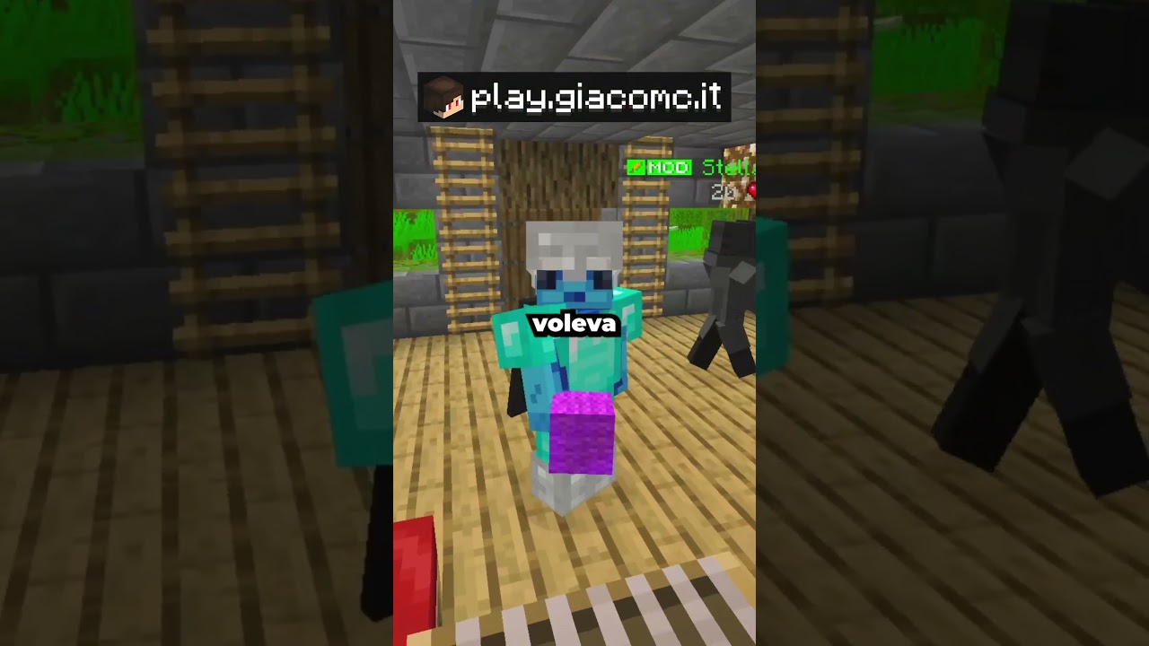 Ho Trovato il MIGLIOR STAFFER nel Mio SERVER MINECRAFT 🤩🤩