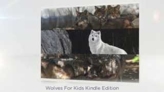 Famous History Of The Gray Wolf -- Wolves For Kids -- Amazing Animal Books For Young Readers Wealth