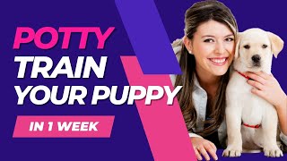 How to Potty Train A Puppy In 3 Minutes | Puppy training | Dog training | by All For Love 783 views 7 months ago 3 minutes, 11 seconds
