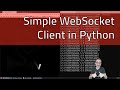 8.1 How to Create a WebSocket Client in Python - Fun with WebSockets!