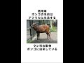 自動車メーカー　MAZDAに関する面白い雑学② #shrot #mazda #車の雑学
