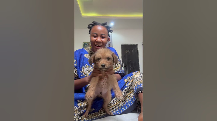 See how my d0g fall my hand 😂 #funny #viral #comedy #dog